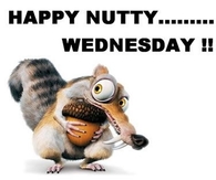 Happy Nutty Wednesday