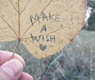 Make a wish
