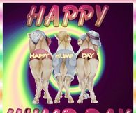 Happy Hump Day