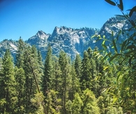 Beauty of Yosemite