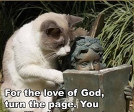 Turn the page