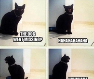 Cat shares his sympathy