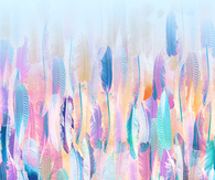 Watercolor feathers wallpaper