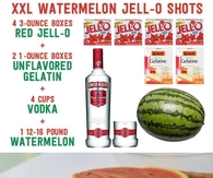 DIY Watermelon Jello Shots