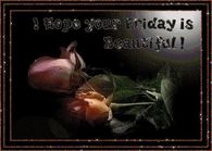 I hope your Friday is Beautiful