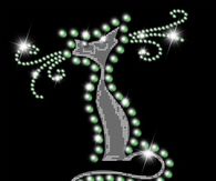Glitter Cat