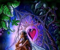 Colorful Fairy