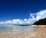 Waves upon the shore