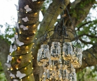 Butterflies and light jars