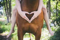 A girl and her horse