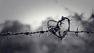 Barb wire heart