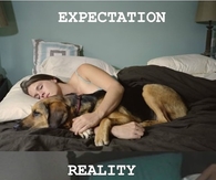 Sleeping with your pet