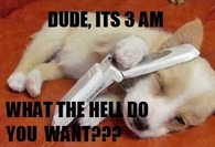 Dude it is 3am