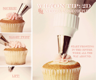 Frosting Cupcakes
