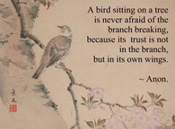 trust yourself