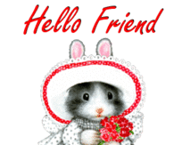 Hello Friend Have a Nice Day