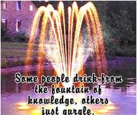 Some people drink from the fountain of knowledge...