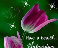 Have a beautiful Saturday