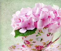 Cup of Pink Flowers
