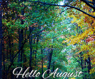 Hello August