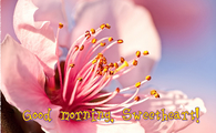 Good Morning Sweetheart