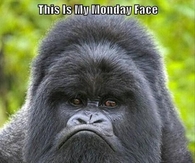 My Monday Face
