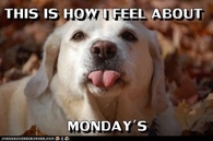 How I feel about Mondays