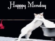 Happy Monday