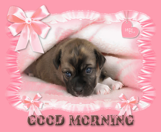 Good Morning