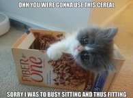 Oh you were 