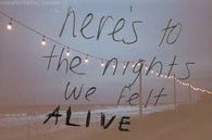 the nights we felt alive