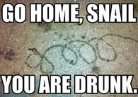 Go home Snail