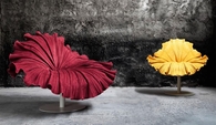 Bloom Lounge Chair