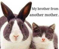 my brother from another mother