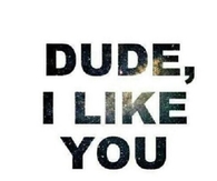 Dude I Like You