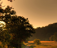 Country sunset