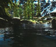 Lapping waters