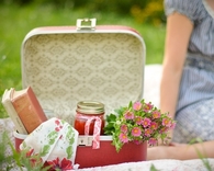 Retro Picnic