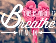 This is your life, breathe it all in