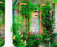 Rectangular Trellis'