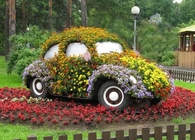 Flower Bug