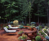 Backyard oasis