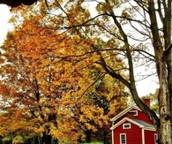 Autumn farmhouse