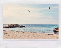 Beach polaroid