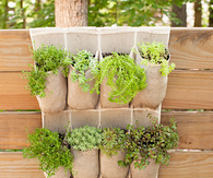 Pocket Garden