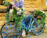 Vintage Bicycle as a Planter