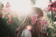 Sweet scented garden