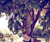 Beauty in the garden