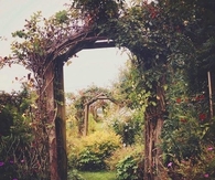 Wooden arches