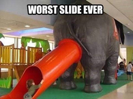 worst slide ever